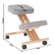Scaun genunchi ergonomic, gri-maro Taupe / fag, FLONET