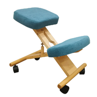 Scaun ergonomic, petrol/ fag, FLONET